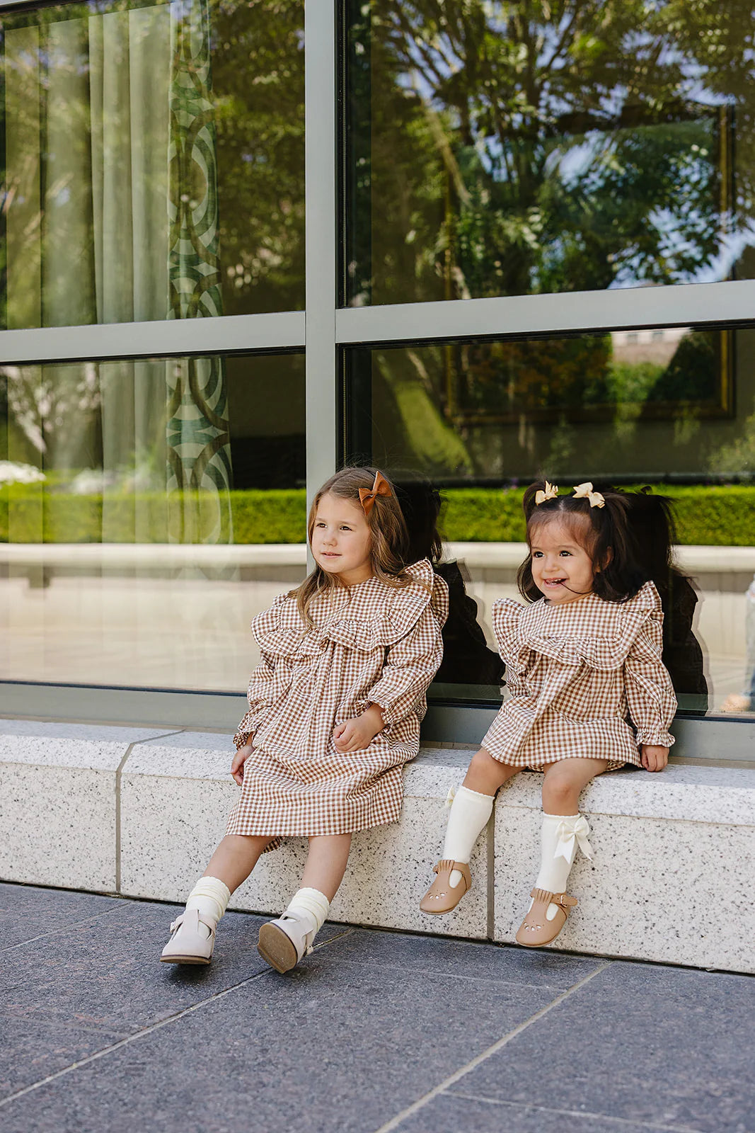 Gingham Brown Ruffle Dress