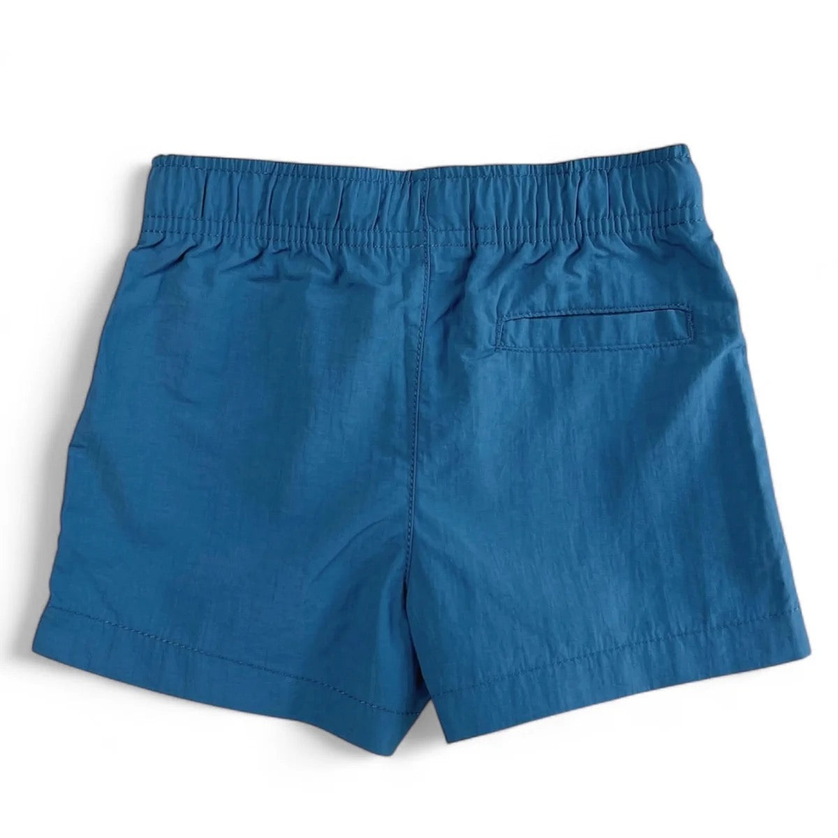 Performance Shorts - Blue