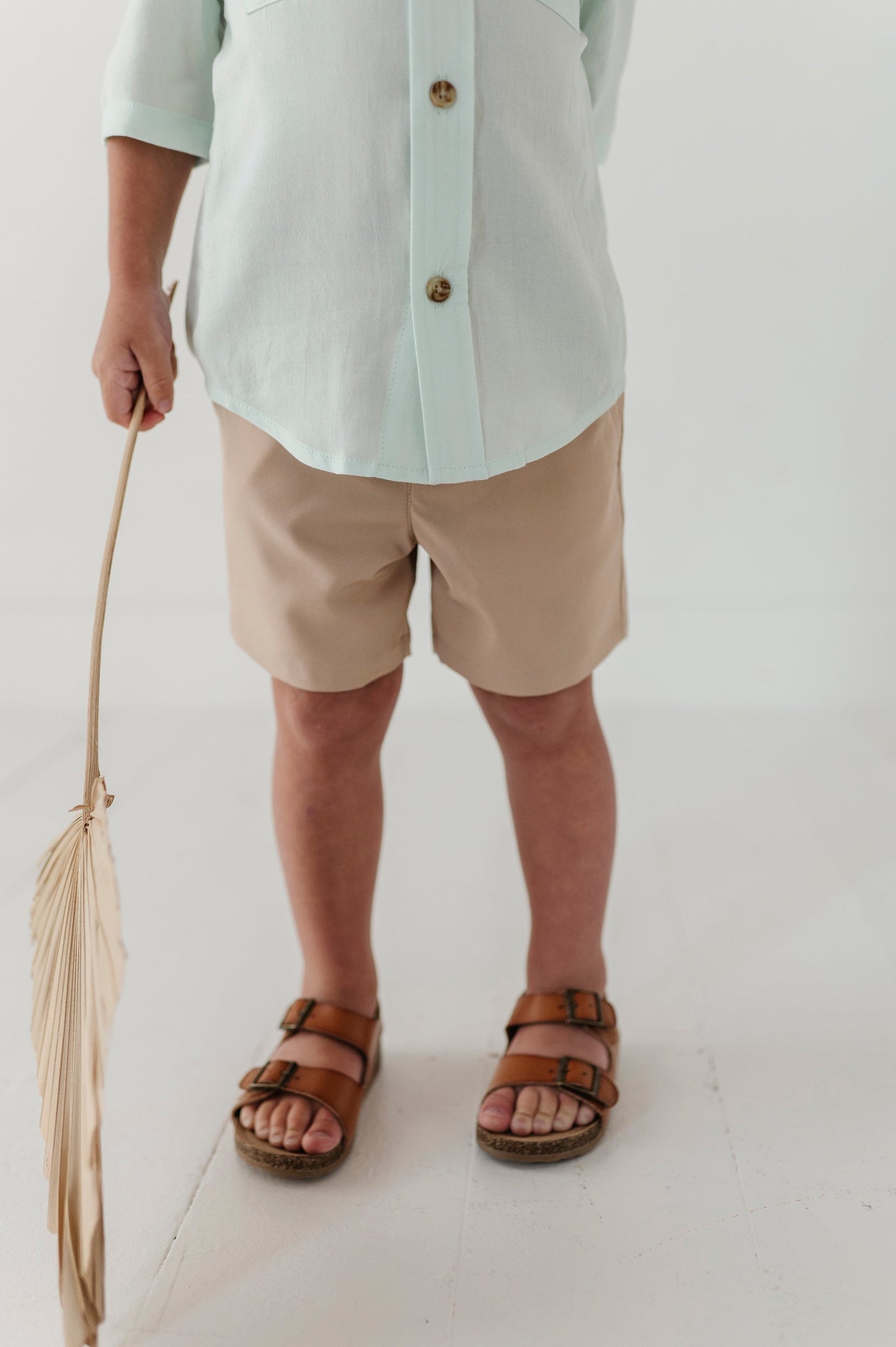 Boy's Dressy Shorts
