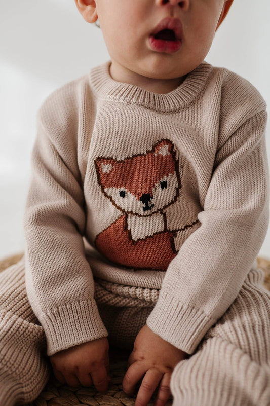Knit Sweater Cotton - Fox