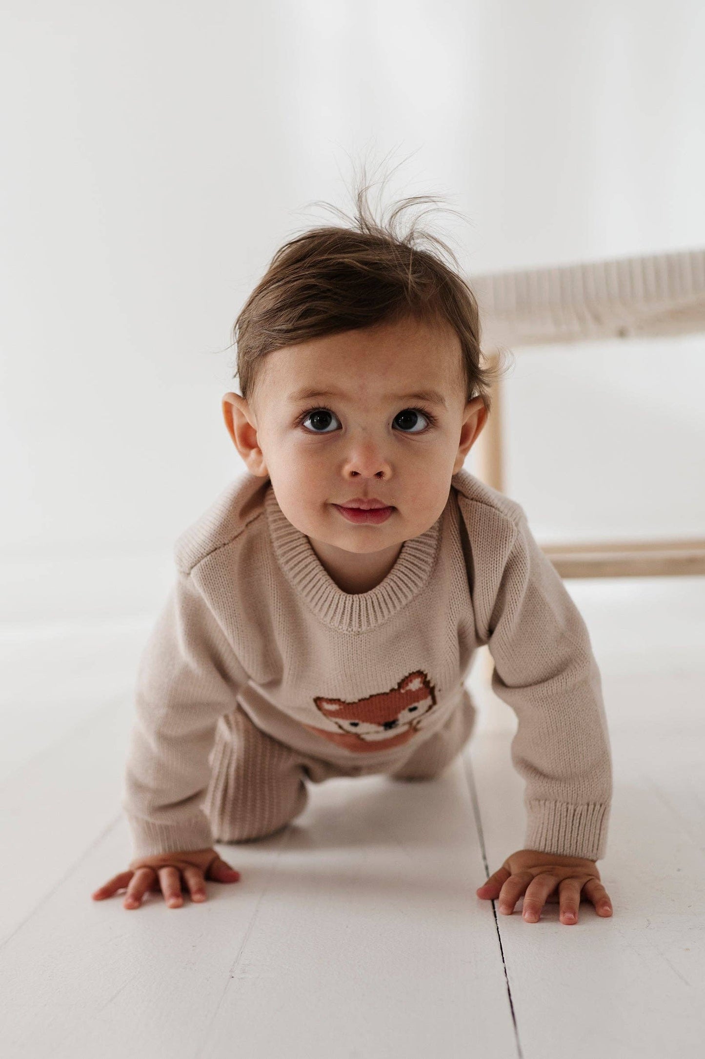 Knit Sweater Cotton - Fox