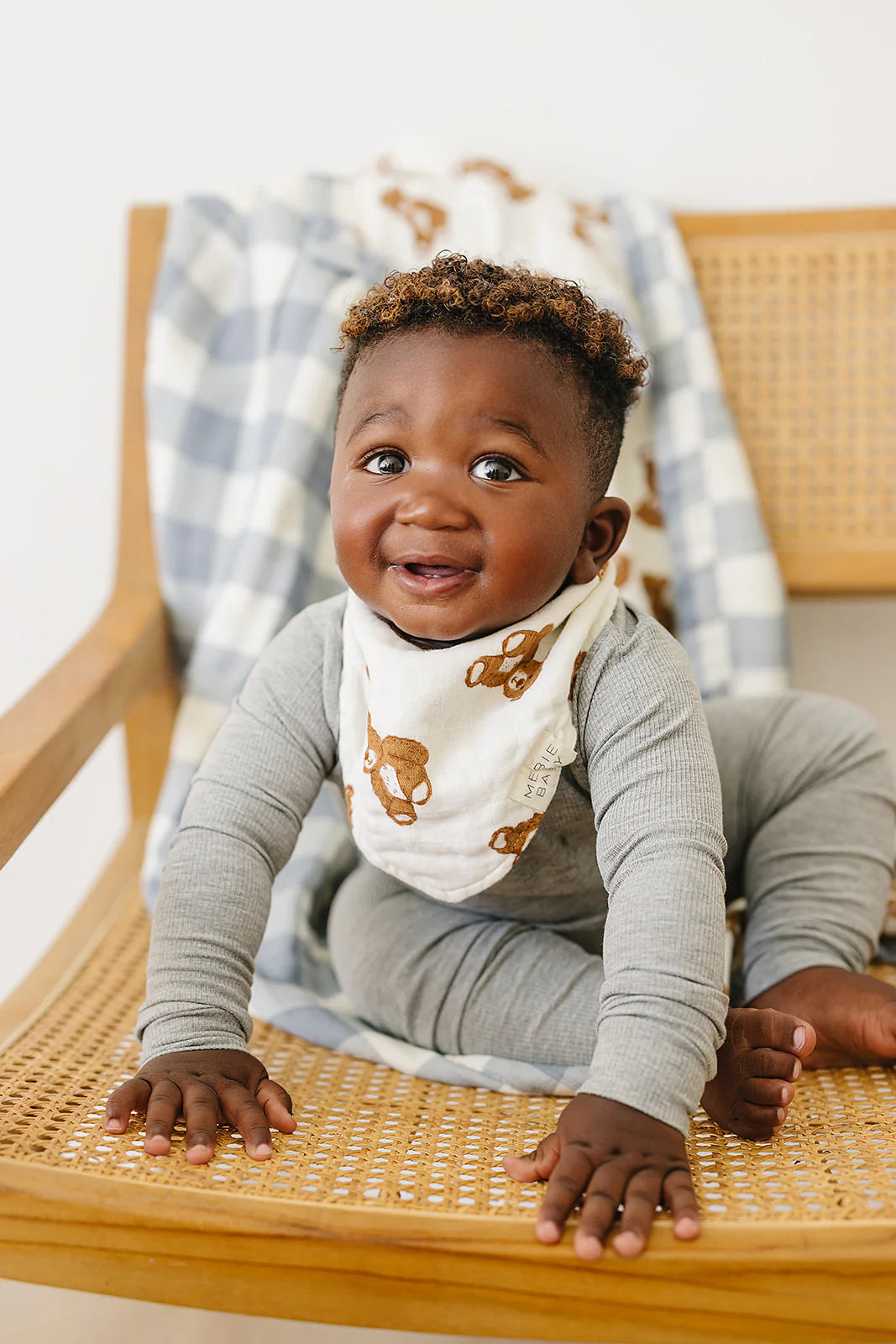 Bandana Bibs - Teddy Bear