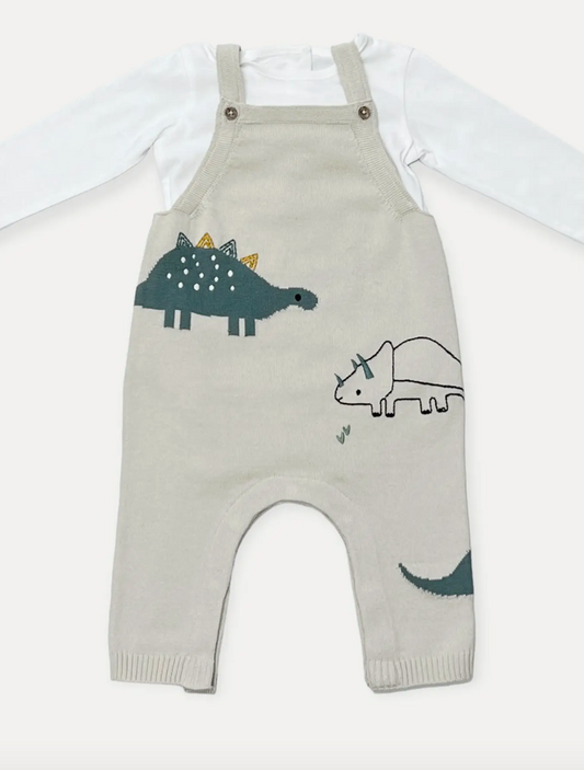 Organic Dino Jacquard Knit Baby Overall Set