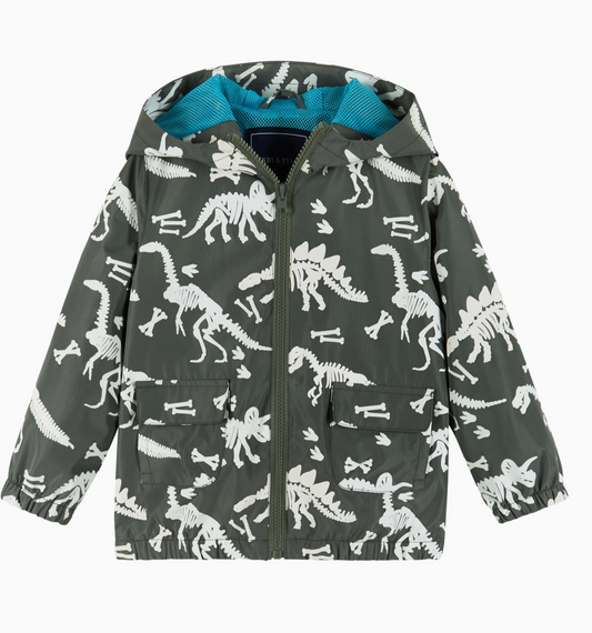 Color Changing - Dinosaur Fossils Raincoat