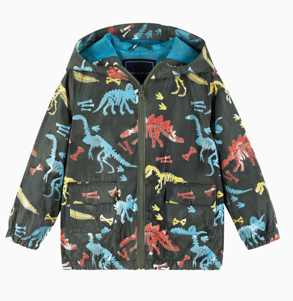 Color Changing - Dinosaur Fossils Raincoat