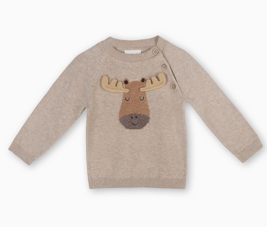 Organic Moose Appliqué Raglan Pull-Over Sweater