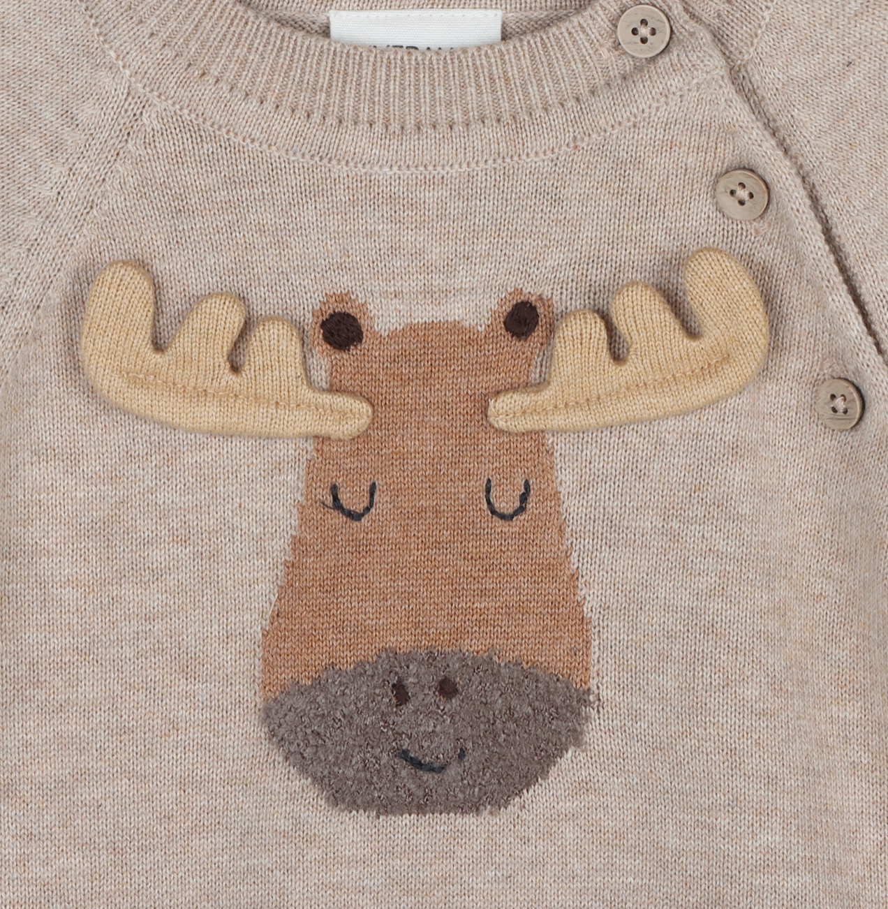 Organic Moose Appliqué Raglan Pull-Over Sweater