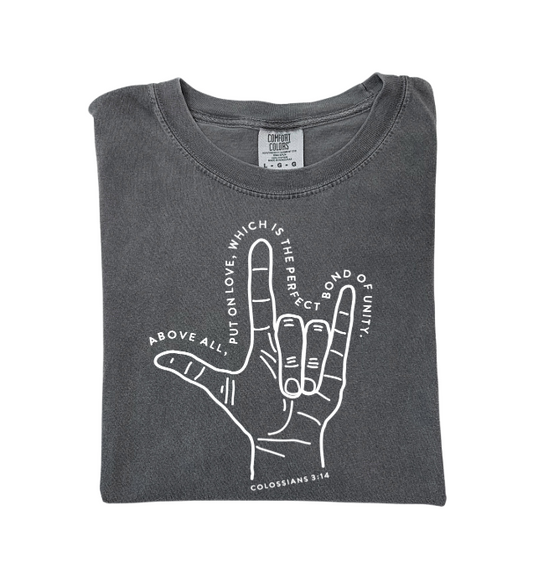 Colossians 3:14 Adult Tee