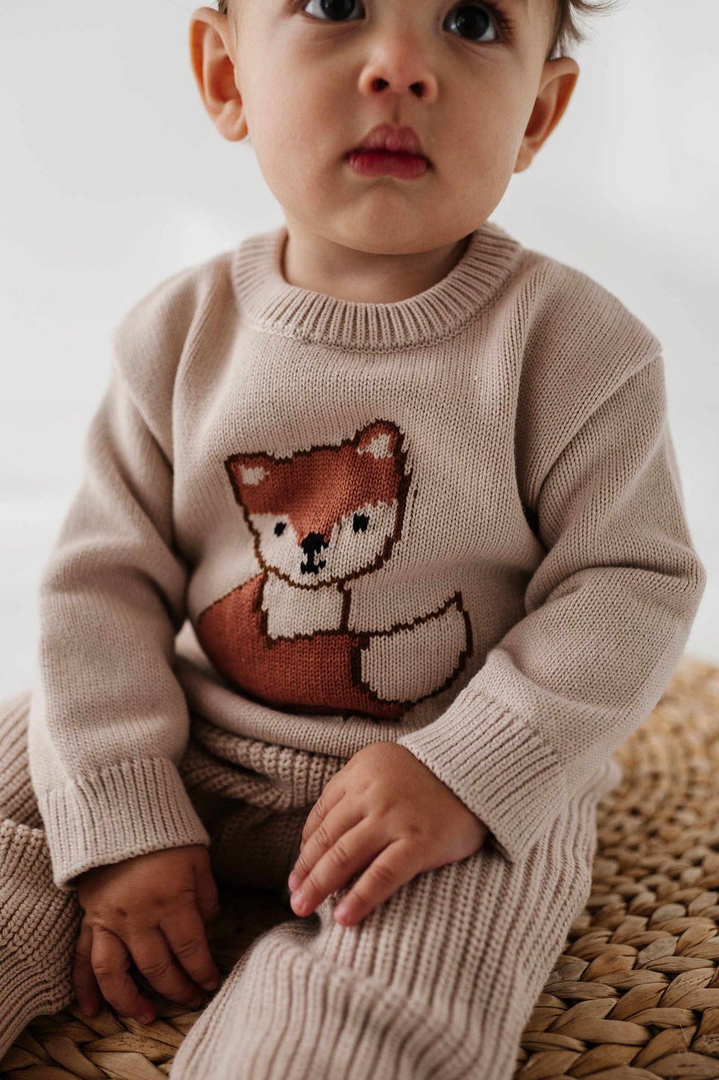 Knit Sweater Cotton - Fox